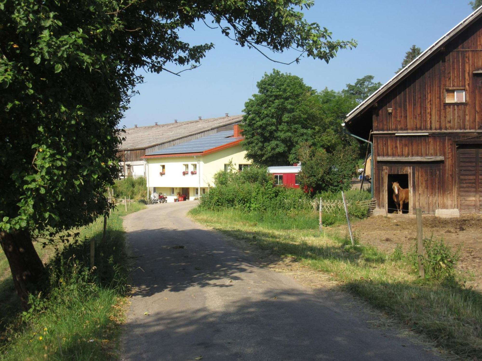 Hofgut Duerrenbuehl Villa Grafenhausen Bagian luar foto